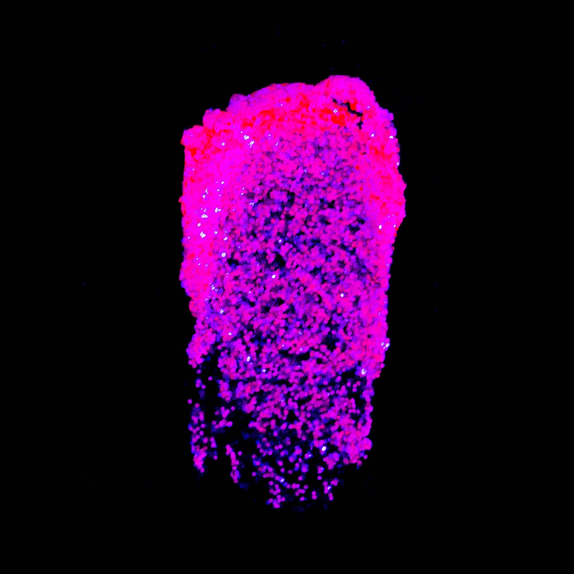 Glowjam® Cosmic UV Glitter Balm